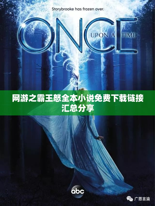 网游之霸王怒全本小说免费下载链接汇总分享