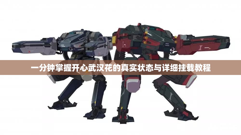 一分钟掌握开心武汉花的真实状态与详细挂载教程