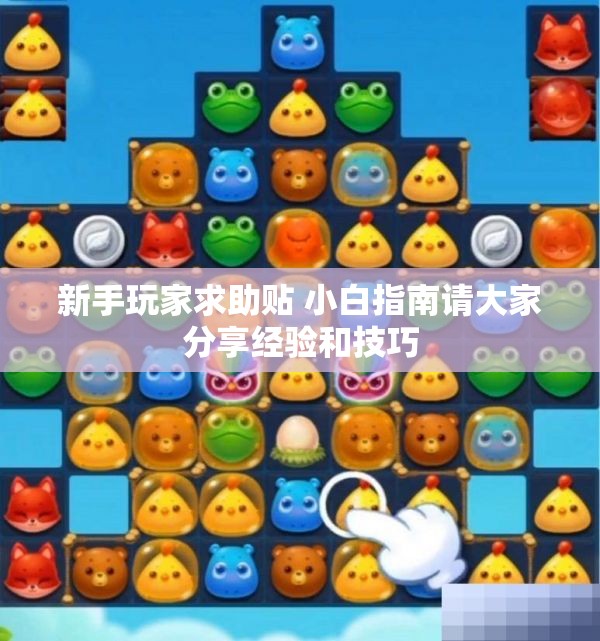 新手玩家求助贴 小白指南请大家分享经验和技巧