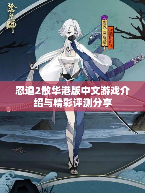 忍道2散华港版中文游戏介绍与精彩评测分享