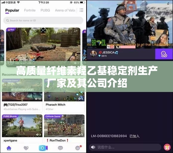 高质量纤维素羟乙基稳定剂生产厂家及其公司介绍
