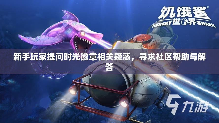 新手玩家提问时光徽章相关疑惑，寻求社区帮助与解答