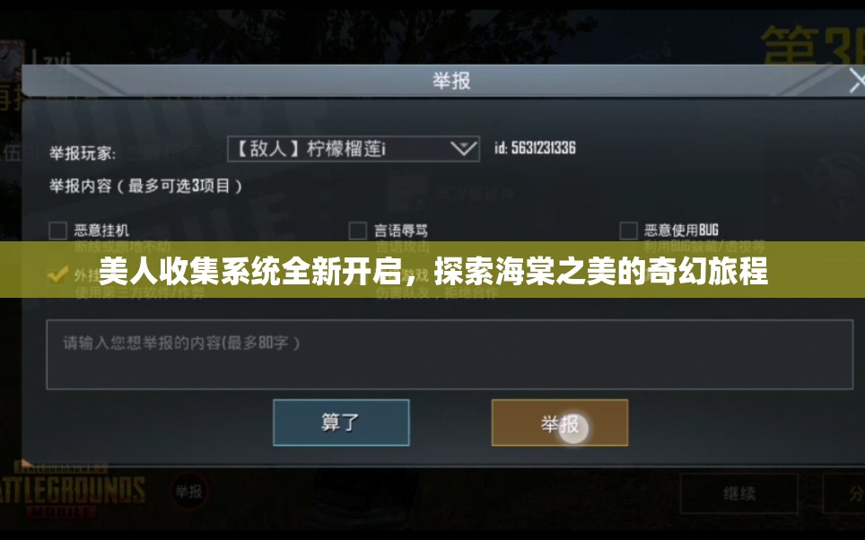 美人收集系统全新开启，探索海棠之美的奇幻旅程