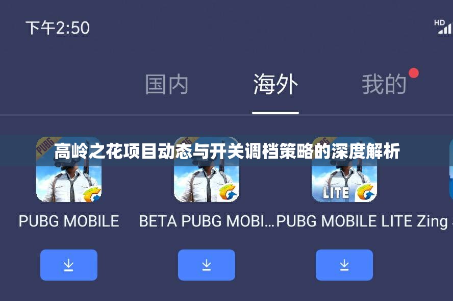 高岭之花项目动态与开关调档策略的深度解析