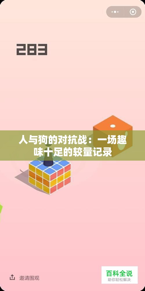 人与狗的对抗战：一场趣味十足的较量记录