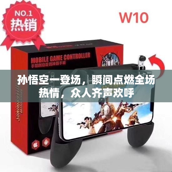 孙悟空一登场，瞬间点燃全场热情，众人齐声欢呼