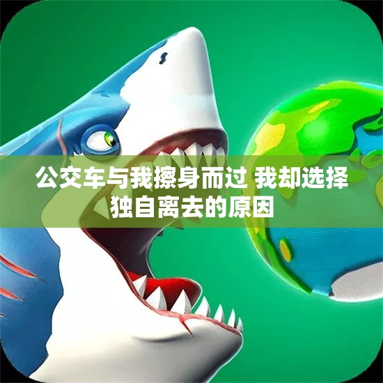 公交车与我擦身而过 我却选择独自离去的原因