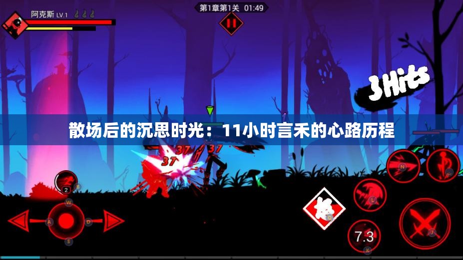散场后的沉思时光：11小时言禾的心路历程