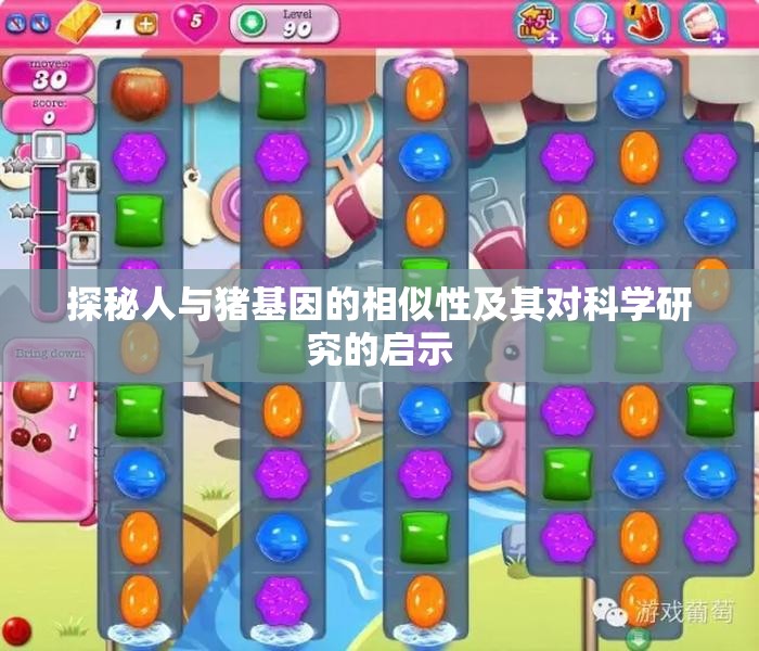 探秘人与猪基因的相似性及其对科学研究的启示