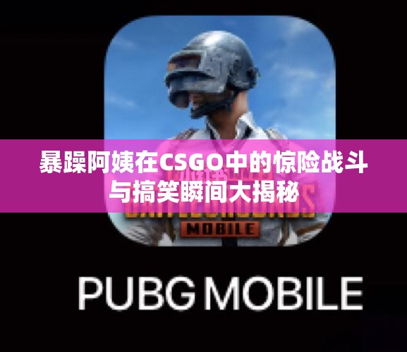 暴躁阿姨在CSGO中的惊险战斗与搞笑瞬间大揭秘
