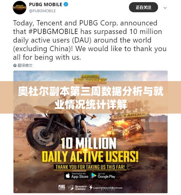 奥杜尔副本第三周数据分析与就业情况统计详解