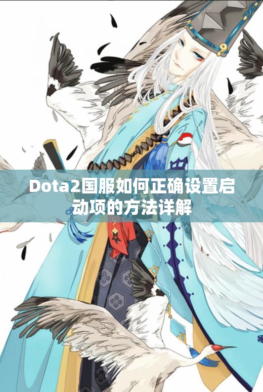 Dota2国服如何正确设置启动项的方法详解