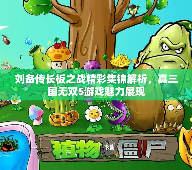 刘备传长板之战精彩集锦解析，真三国无双5游戏魅力展现
