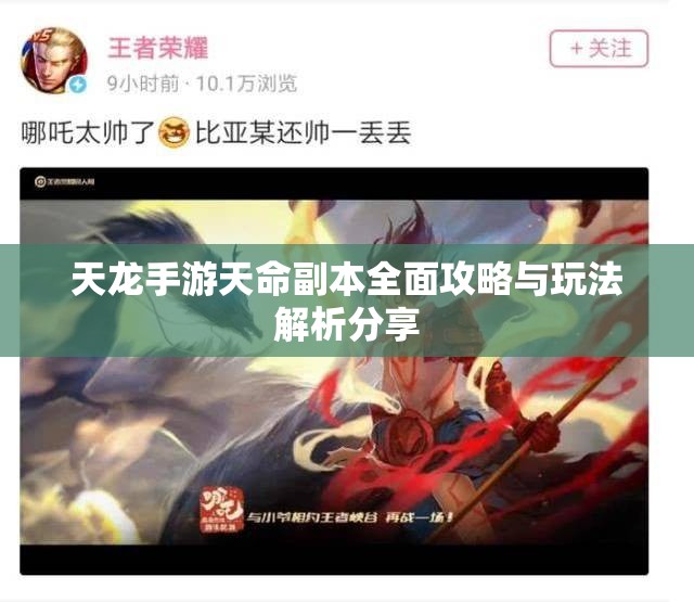 天龙手游天命副本全面攻略与玩法解析分享